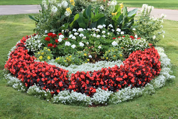 Seasonal Planting